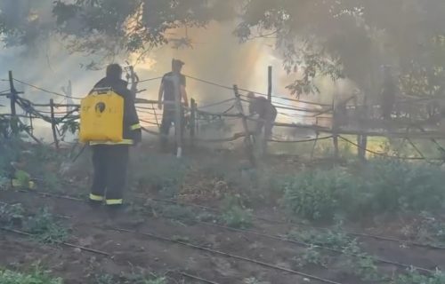 Najteže u Deliblatskoj peščari: Čitavu noć trajala borba sa vatrom, poseban problem podzemni požari