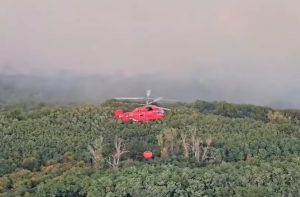 U Srbiji aktivno 6 požara, opština Kovin uvela je vanrednu situaciju, pojedina mesta evakuisana