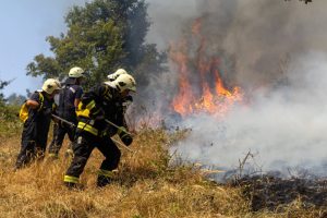 “Ovo je za nas previše, ne vidimo kraj”: Kritična situaciju u susedstvu, izbilo na hiljade požara (FOTO)