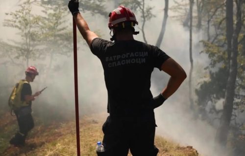Nakon dva dana borbe sa stihijom, ugašen požar u Bojniku