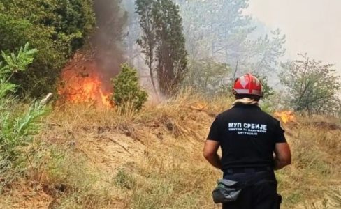 40 požara aktivno u Srbiji: Nastavlja se borba, vatra zahvatila više od 3.000 hektara