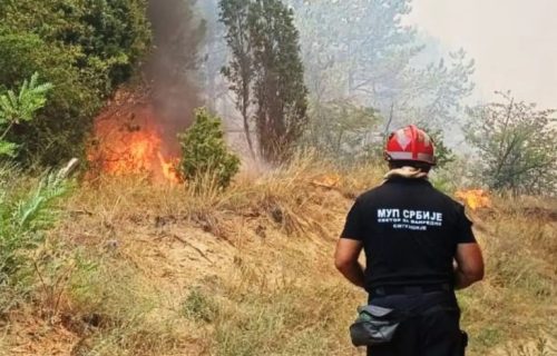 40 požara aktivno u Srbiji: Nastavlja se borba, vatra zahvatila više od 3.000 hektara