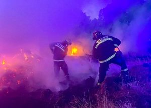 Tamo gde plamen preti, Srbija šalje svoje najbolje: Dačić objavio fotografije srpskih vatrogasaca