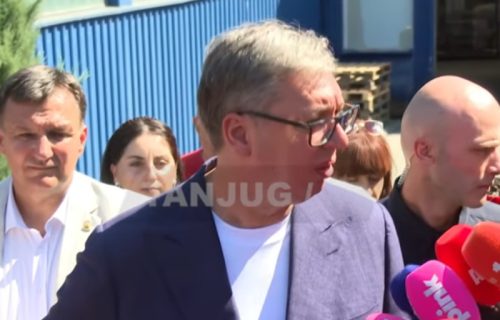 "Leđa Raškovića su lice Kurtija": Vučić izneo najnovije informacije o stanju prebijenog Srbina
