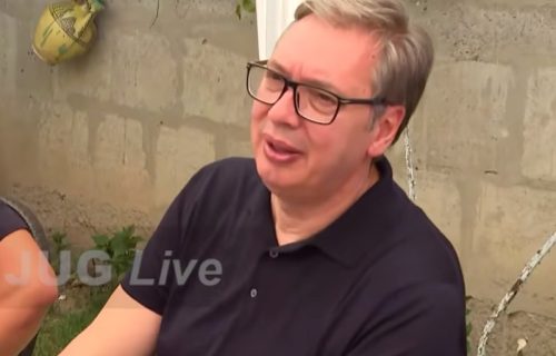 Vučić odgovorio na kritiku Šoškića: "Samo država sa zdravom ekonomijom može da povećava plate i penzije"