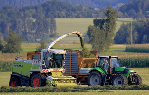 Dnevnica veća, prijava lakša, ali sezonaca nema: Poljoprivrednici sve teže dolaze do radnika