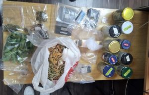 Hapšenje u Somboru: Pretresom pronađeno gotovo 300 grama marihuane i improvizovana laboratorija (FOTO)