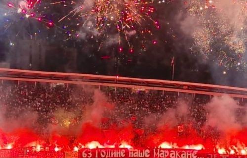 Cifra raste iz dana u dan: Zvezdina armija sve veća, ovako nešto nema baš svaki klub
