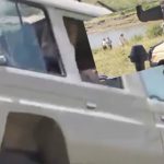 Za dlaku izbegnuta tragedija u Tanzaniji: Džip se prevrnuo i sleteo u reku punu krokodila (VIDEO)