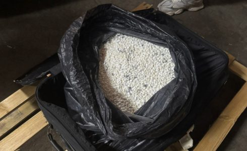 Velika zaplena na auto-putu u Nišu: U „mercedesu“ pronađeno 20 kilograma sumnjivih tableta