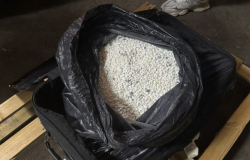 Velika zaplena na auto-putu u Nišu: U „mercedesu“ pronađeno 20 kilograma sumnjivih tableta