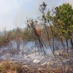 Bespomoćni pred vatrenom stihijom: Požar kod Trebinja ne jenjava, helikopter gasi dramatična žarišta