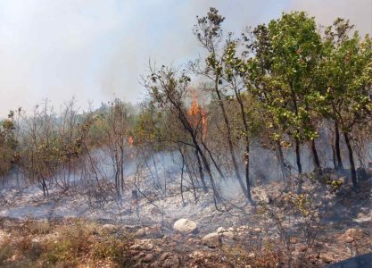 Bespomoćni pred vatrenom stihijom: Požar kod Trebinja ne jenjava, helikopter gasi dramatična žarišta
