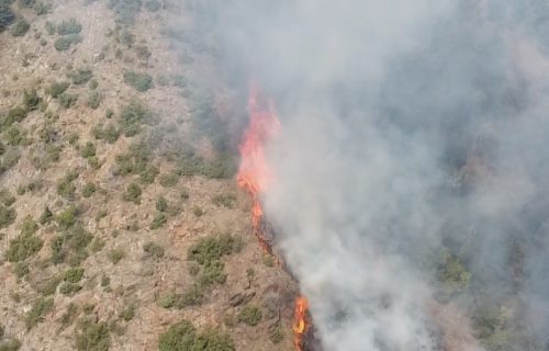 Kritično u Svrljigu: Vatra se brzo širi zbog vetra, apel građanima u pogođenom delu opštine