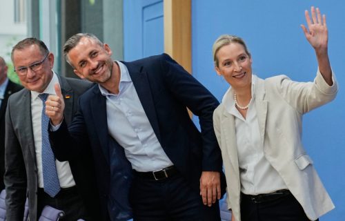 AfD blizu rušenja "zida": Istoričar Sretenović o značaju pobede desnice u i bitke koja im predstoji