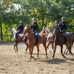 Konjanici MUP-a da budu vidljiviji na ulicama, kao mesto susreta policije i građana, posebno dece