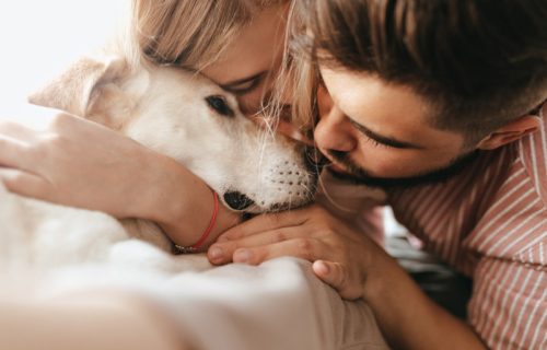 Zašto se pas uvek ugura kada zagrlite partnera? Nije samo ljubomora u pitanju