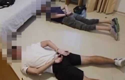 Specijalci upali u štek-stan": MUP o hapšenju osumnjičenih za ubistva u Surčinu