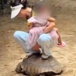 Snimak iz zoo vrta razbesneo javnost: Žena se "provozala" na kornjači sa sve decom u ruci
