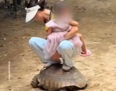 Snimak iz zoo vrta razbesneo javnost: Žena se “provozala” na kornjači sa sve decom u ruci