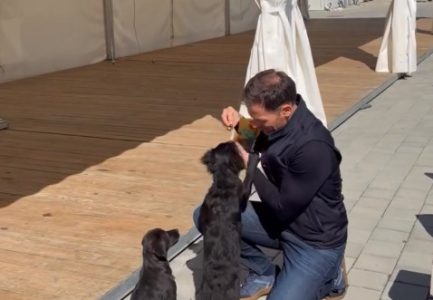 Nesvakidašnji prizor sa gradilišta Ekspo kampa: Mali objavio emotivan video sa pauze