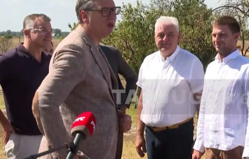 (UŽIVO) Vučić obišao gazdinstvo Petrović u Čoki: Imaju 220 krava i 800 hektara zemlje