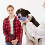 Ljubimac paniči čim stignete kod veterinara? Evo kako da mu ublažite strah