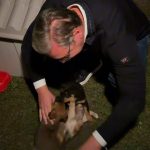 Vučić usvojio napuštene štence, pa podelio dirljiv snimak: "Maza, Lunja, Kika i Mićko vam se zahvaljuju"