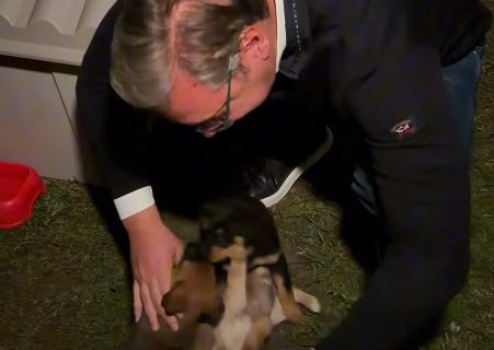 Vučić usvojio napuštene štence, pa podelio dirljiv snimak: "Maza, Lunja, Kika i Mićko vam se zahvaljuju"