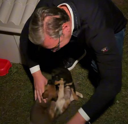 Vučić usvojio napuštene štence, pa podelio dirljiv snimak: “Maza, Lunja, Kika i Mićko vam se zahvaljuju”