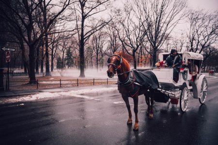 Njujork ukida vožnje kočijama kroz Central park: Poznatoj turističkoj atrakciji bliži se kraj