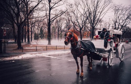 Njujork ukida vožnje kočijama kroz Central park: Poznatoj turističkoj atrakciji bliži se kraj