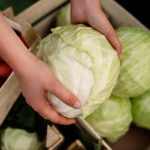 Kiseljenje kupusa: Kada je pravo vreme i kako da rasol ostane bistar