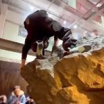 Do kupovine, preko penjanja: Ako hoćete da uđete u radnju, krenite da se verete po strmoj steni (VIDEO)