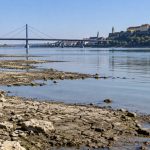Hidrološko upozorenje za Srbiju: Vodostaji reka ispod plovidbenih nivoa, ugrožen i biološki minimum