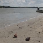 RHMZ upozorava: Vodostaji veoma niski, moguće ponavljanje scenarija iz 2017. godine