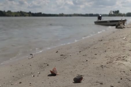 RHMZ upozorava: Vodostaji veoma niski, moguće ponavljanje scenarija iz 2017. godine