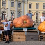 Švajcarska dobila novu džinovsku bundevu: Pogledajte povrće teško čak 651,5 kilograma (FOTO)
