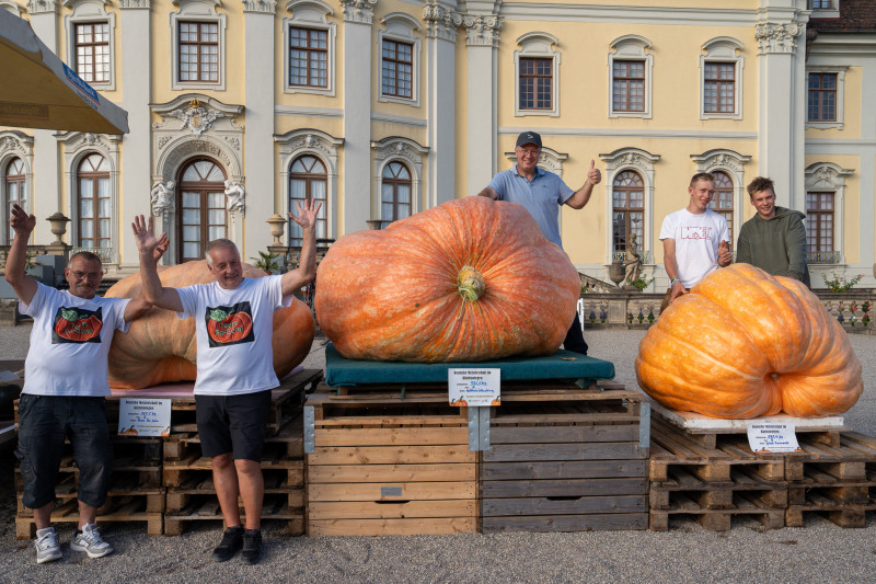 Švajcarska dobila novu džinovsku bundevu: Pogledajte povrće teško čak 651,5 kilograma (FOTO)