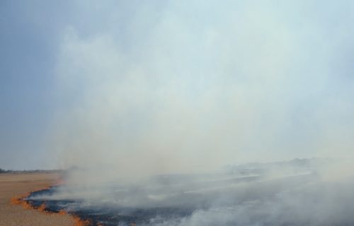 Šest osoba zatečeno u paljenju strnjike, slede prijave i pasivni status gazdinstava