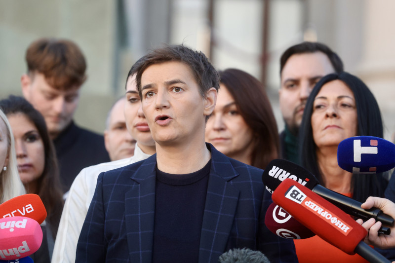 Brnabić: Za predstavnike Studentske liste tzv. Kosovo je država
