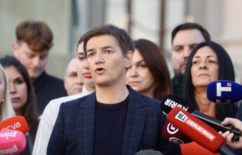 Brnabić: "Besramno je lagati da FDU ili deo ovog fakulteta ne učestvuje u kampanji"