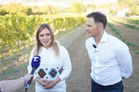Stamenkovski: Do danas podneto 4.000 zahteva za prava na status roditelja negovatelja