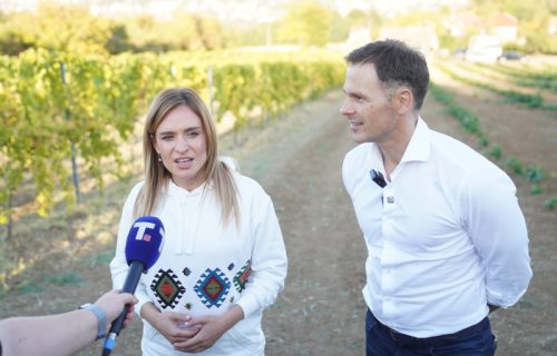 Stamenkovski: Do danas podneto 4.000 zahteva za prava na status roditelja negovatelja
