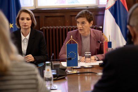Ana Brnabić se sastala sa delegacijom Saveta Evrope: U fokusu predstojeći parlamentarni izbori