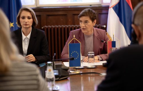 Ana Brnabić se sastala sa delegacijom Saveta Evrope: U fokusu predstojeći parlamentarni izbori