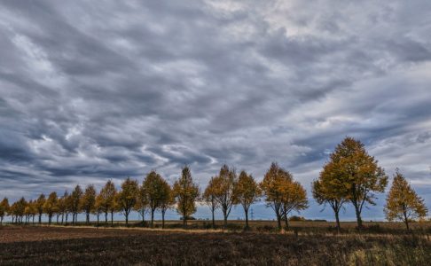 Nemačka na udaru dve oluje: Ima teško povređenih, voz sa 280 putnika ostao zaglavljen
