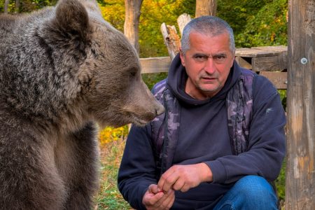 Medvedice našle dom na Ozrenu: Maša i Ljubica prava turistička atrakcija, obožavaju kikiriki i picu