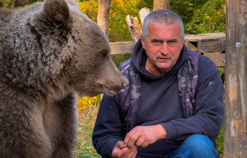 Medvedice našle dom na Ozrenu: Maša i Ljubica prava turistička atrakcija, obožavaju kikiriki i picu