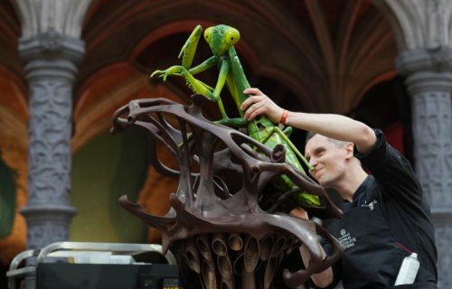 Svetski majstori čokolade pomeraju granice: Skulpture od kojih zastaje dah (FOTO)